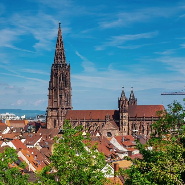 Bild vom Freiburger Münster